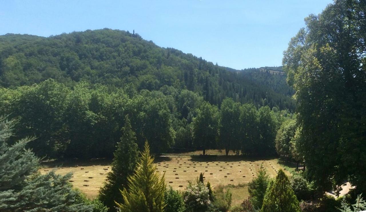 Chateau Du Mazel Panzió Alzon Kültér fotó