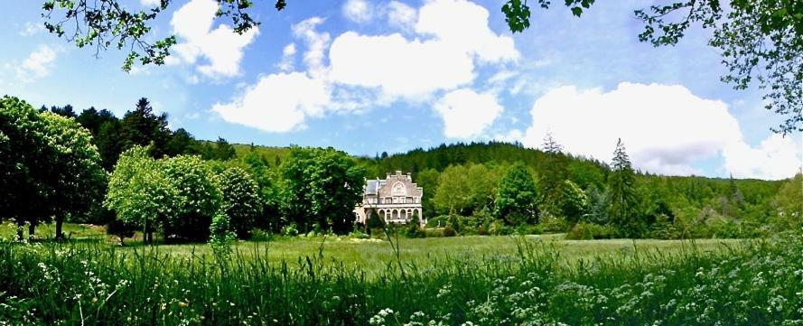 Chateau Du Mazel Panzió Alzon Kültér fotó